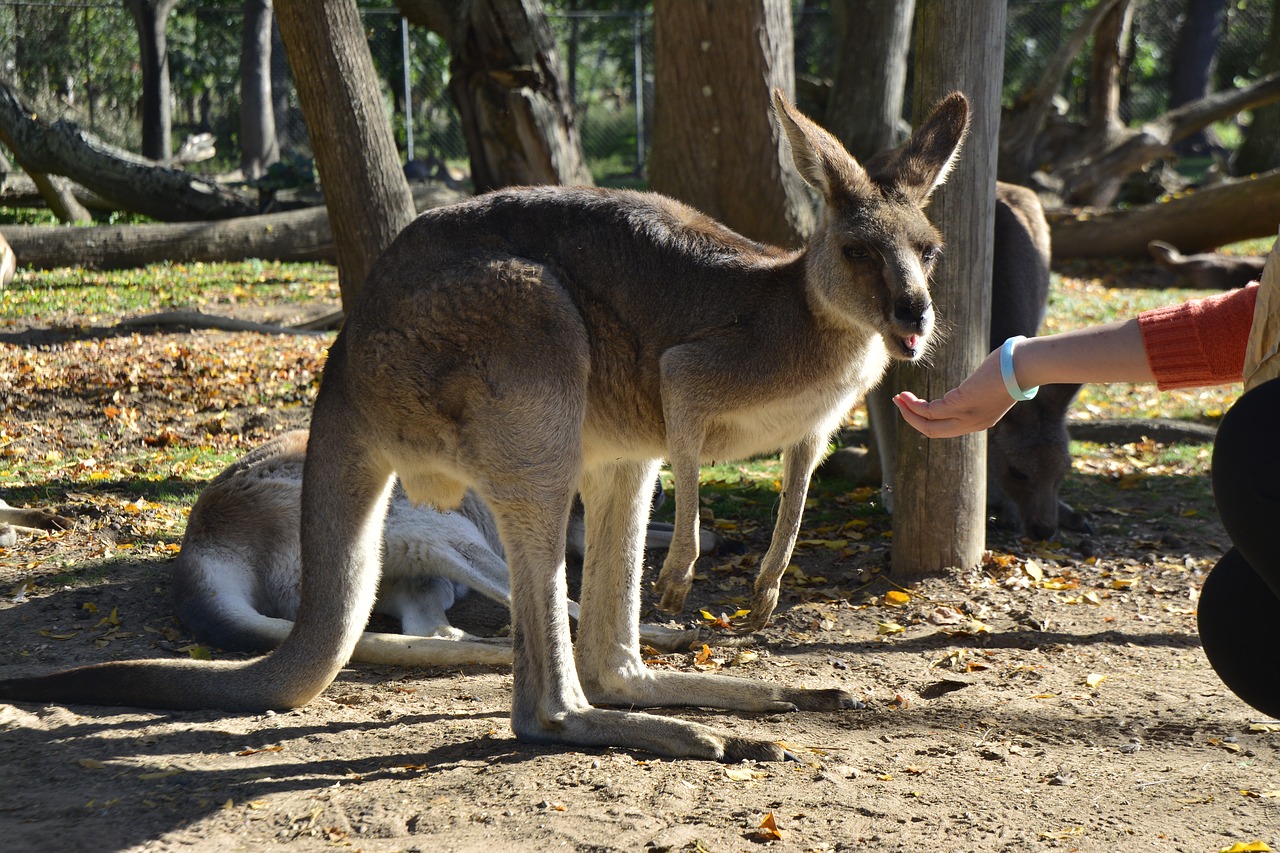 Australia