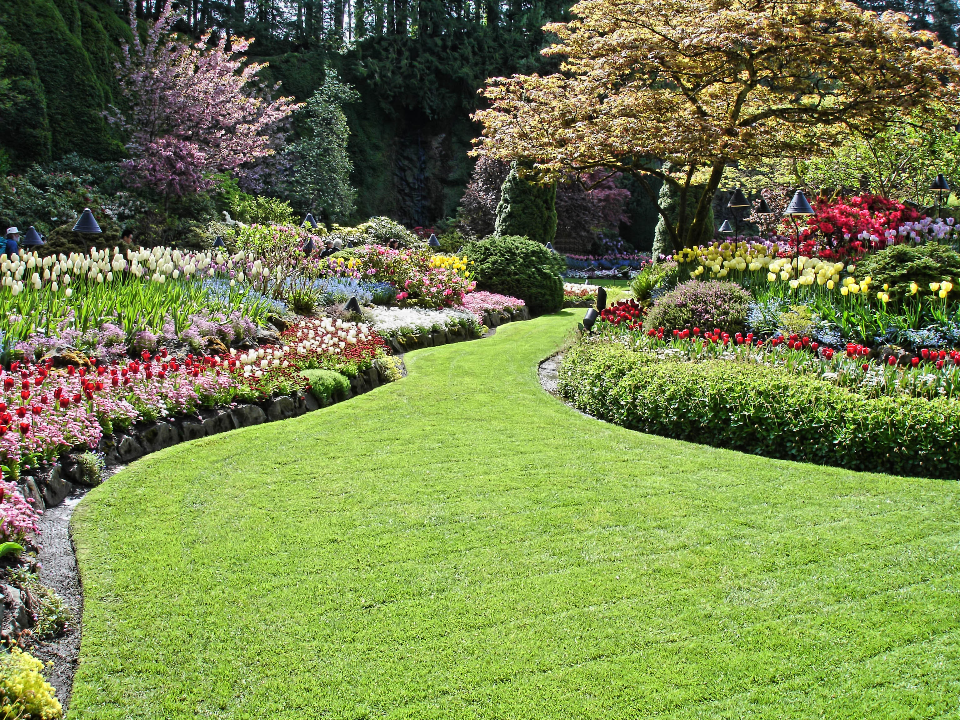  design of garden landscape