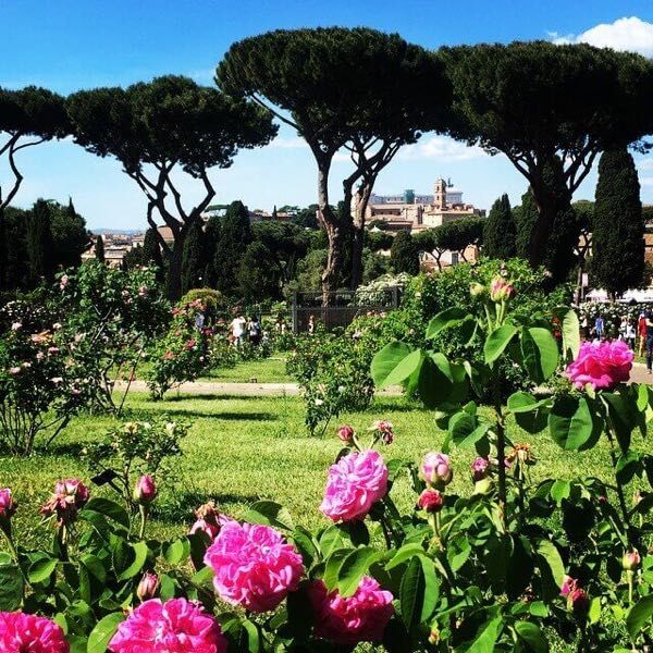 A view from inside of Roseto sull’Aventino