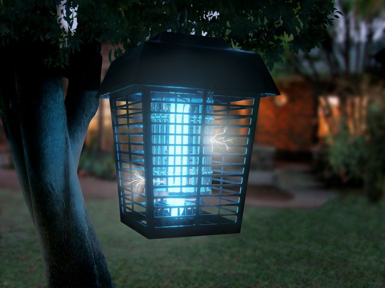 Bug Zappers Kill Mosquitoes