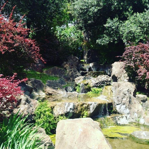 The Japanese Garden