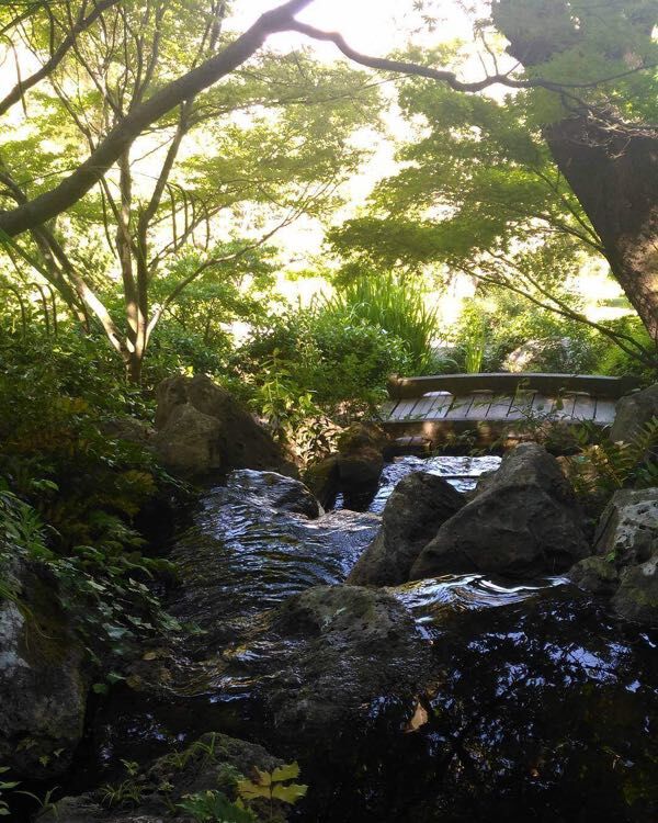 The small river inside the Japanese Garden