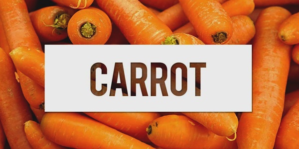 Carrot