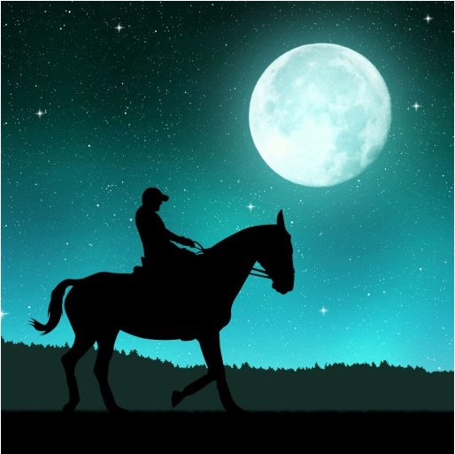 Full Moon Horse Riding at Mushrif Park