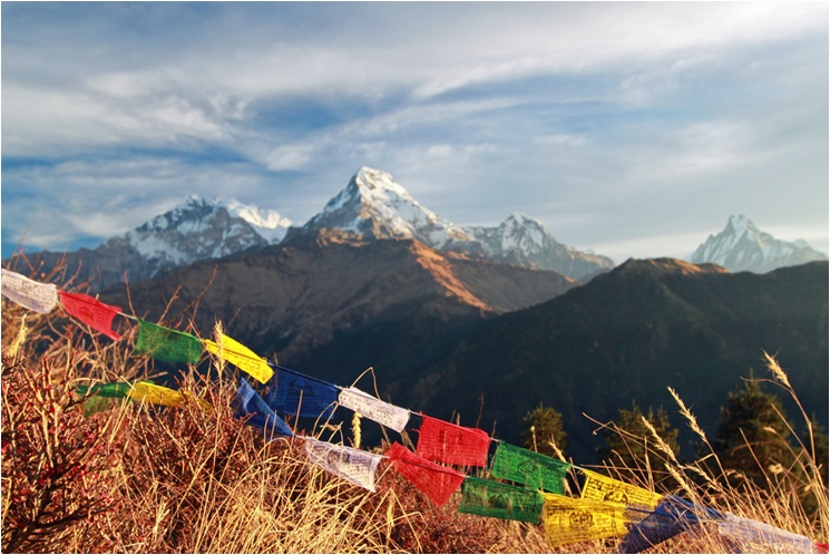 Ghorepani Poon Hill Trek