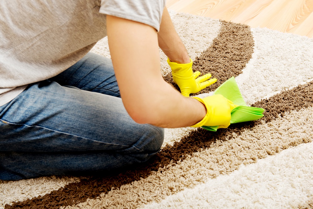 Carpet Cleaning Service