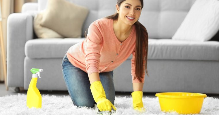 The Ultimate Guide to Carpet Cleaning for Beginners