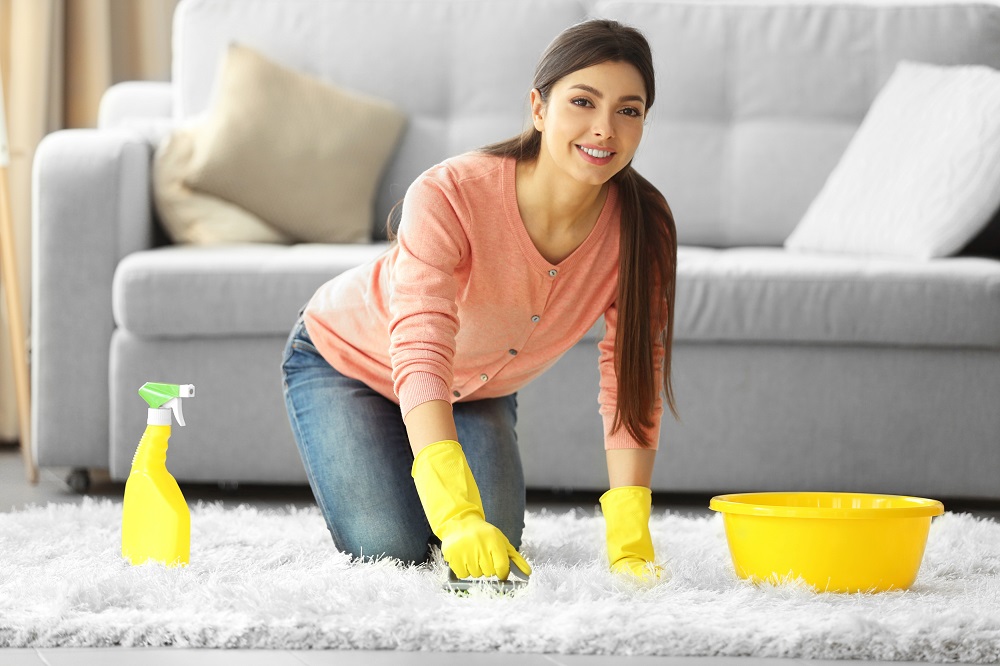 The Ultimate Guide to Carpet Cleaning for Beginners