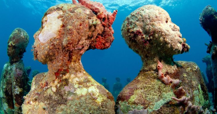 Experience Underwater Life with These Top Destinations