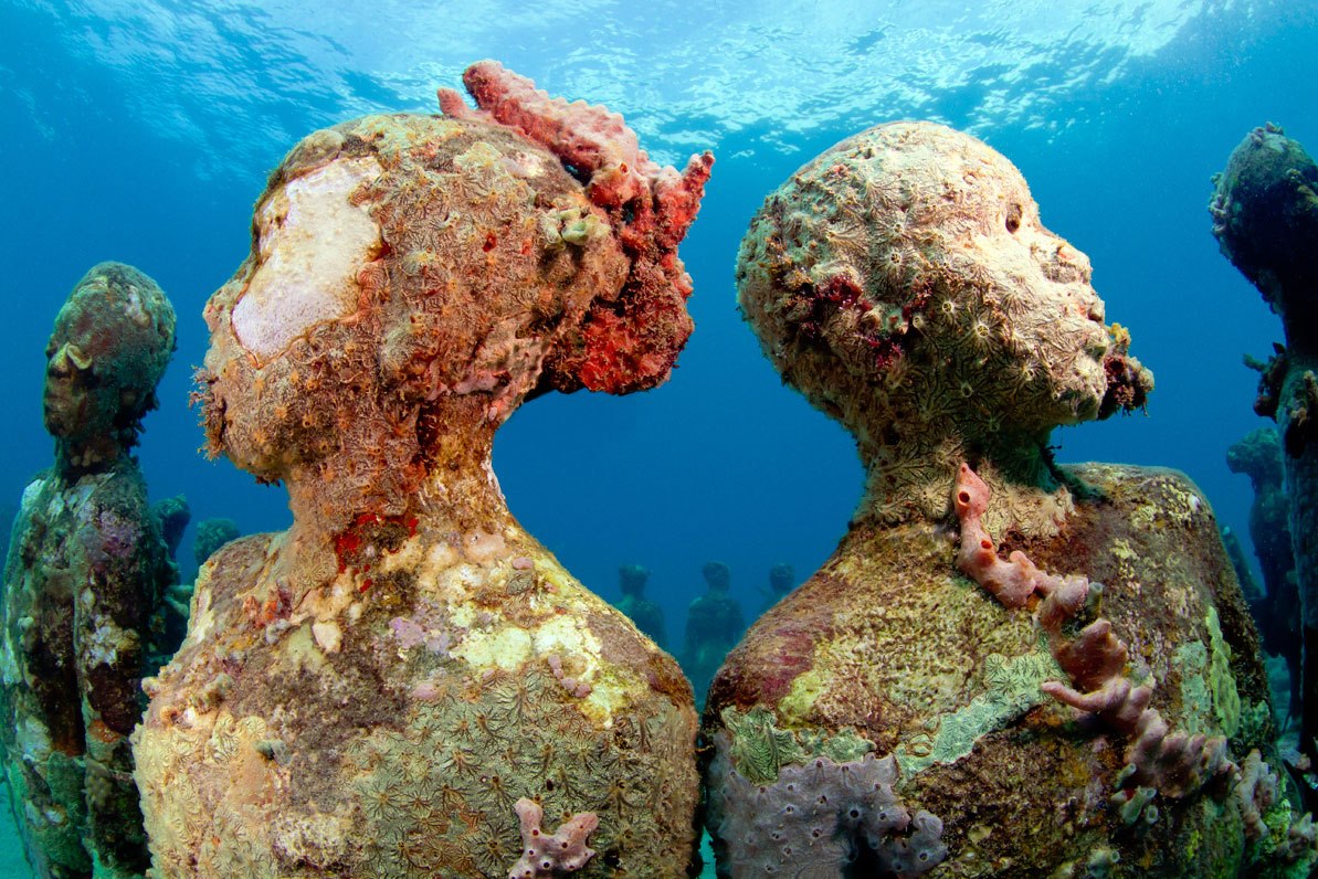 Experience Underwater Life with These Top Destinations