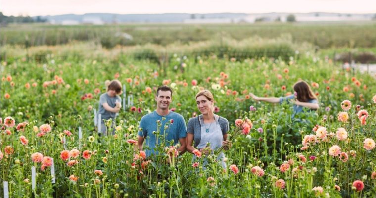 Inside The Blooming Business of Floret Farm
