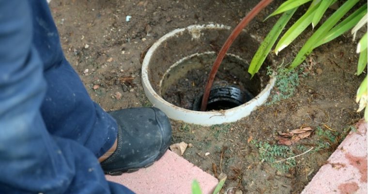 Trace the Symptoms of Clogged Drain to Call Blocked Drains Specialists
