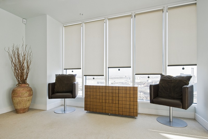 How Can You Buy The Best Window Blind From An Online Store?