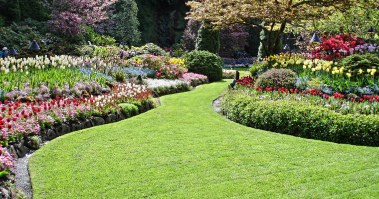 Seek Effective Landscaping Design, Installation, and Lawn Maintenance Services for Your Home