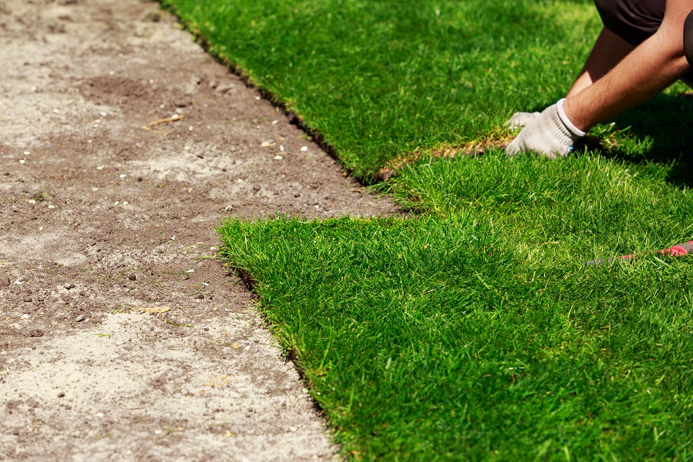 Lawn Suppliers