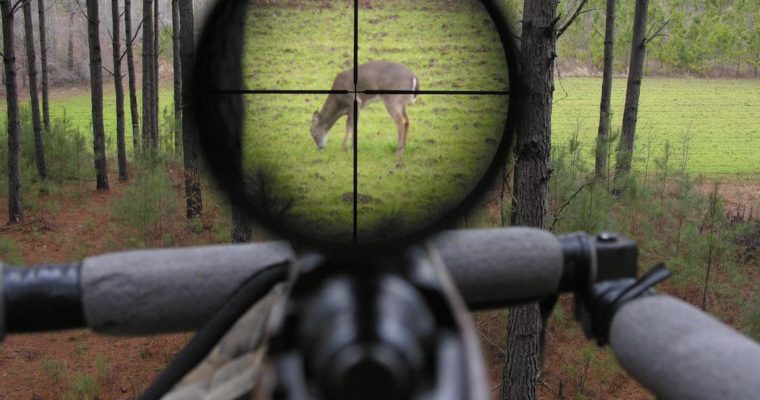5 Best Rifle Scopes for Hunters 2018