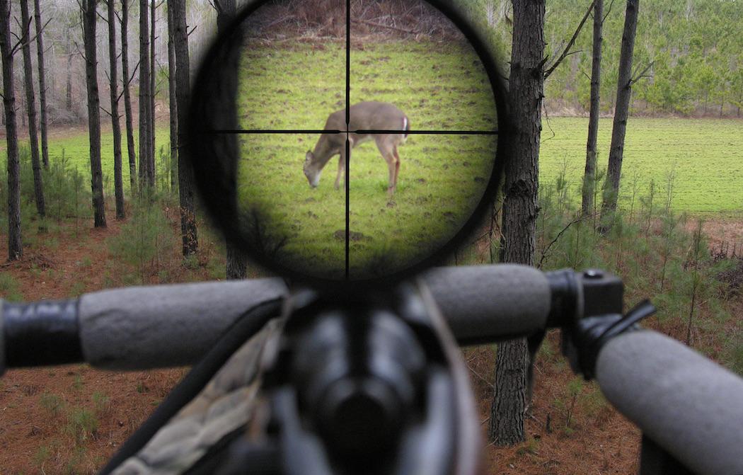 5 Best Rifle Scopes for Hunters 2018