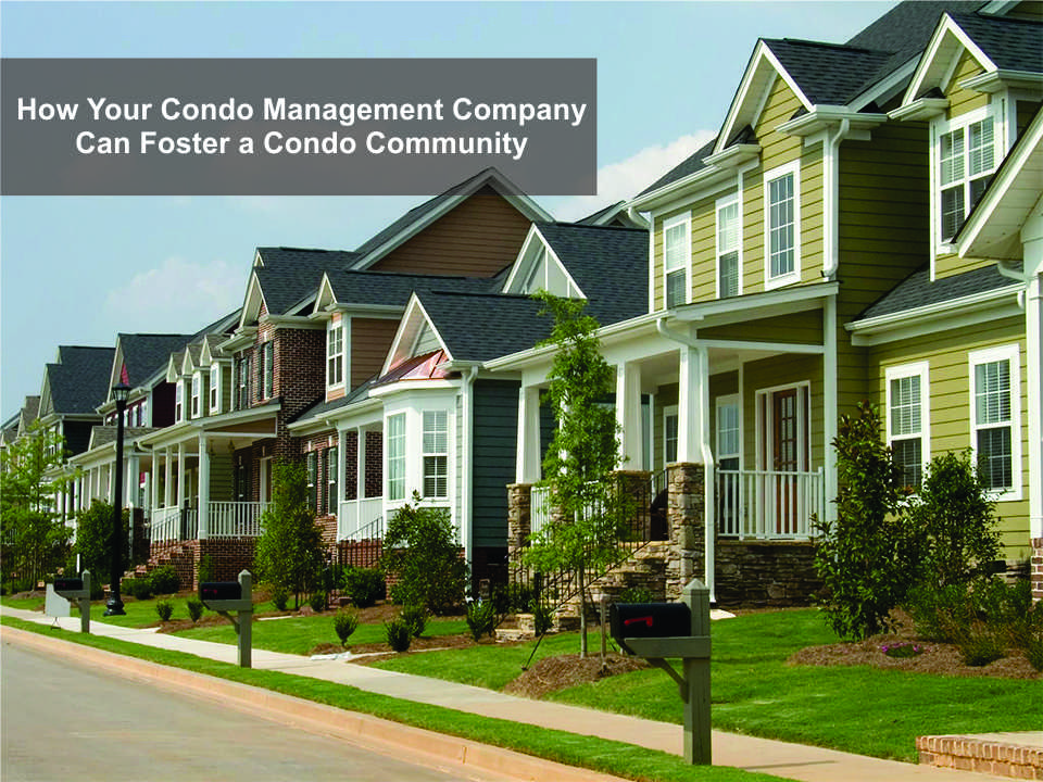 How Your Condo Management Company Can Foster a Condo Community