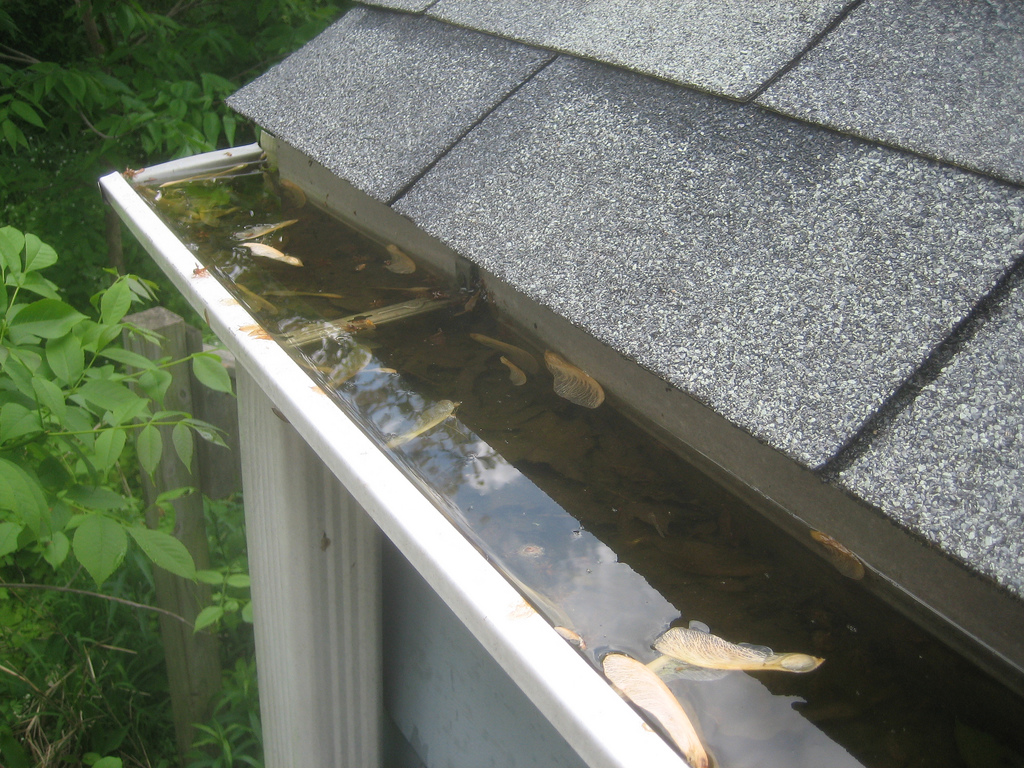 Cleaning the Gutters and Downspouts