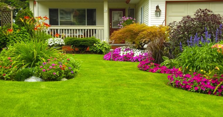 7 Landscaping Ideas Made Easy for You