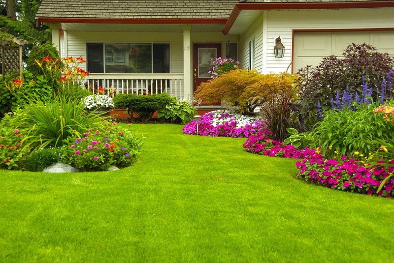 7 Landscaping Ideas Made Easy for You