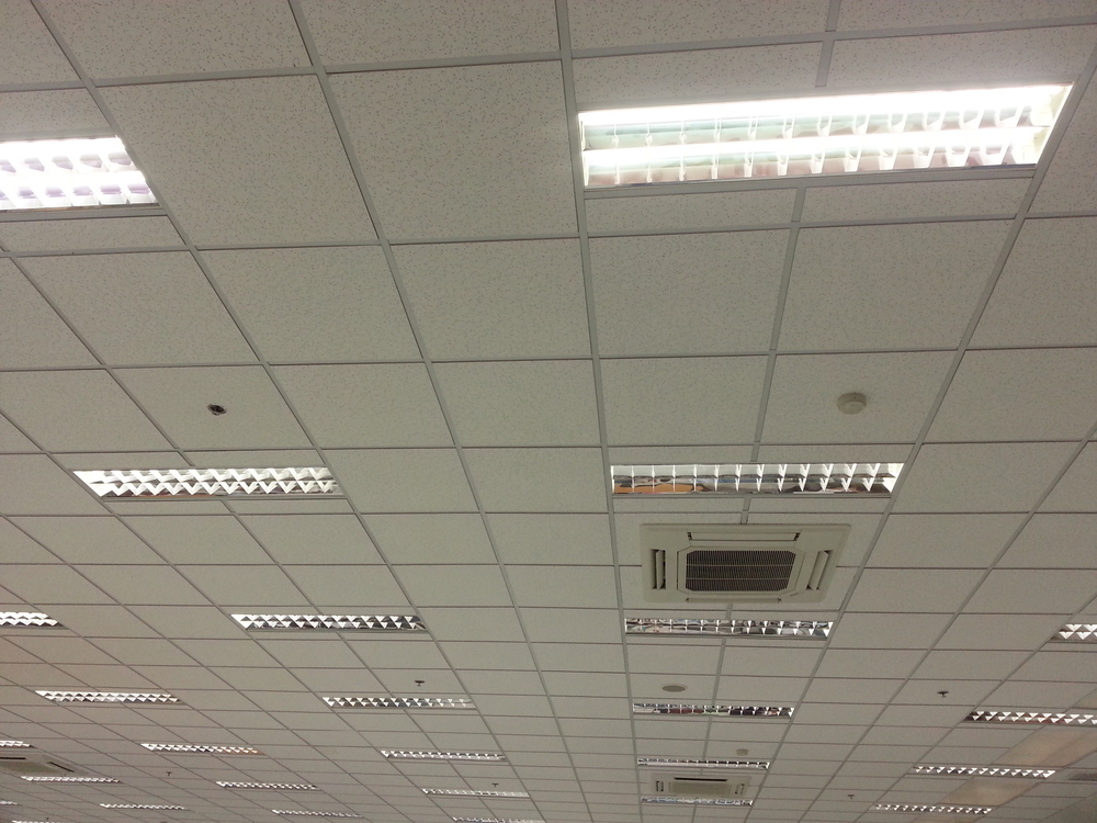 Sophistication Of Suspended Ceiling