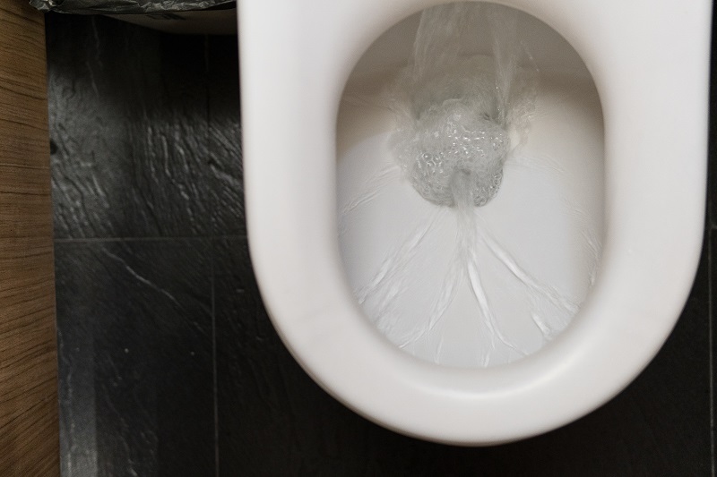 Blocked Drains Causes and How You Can Clean Them