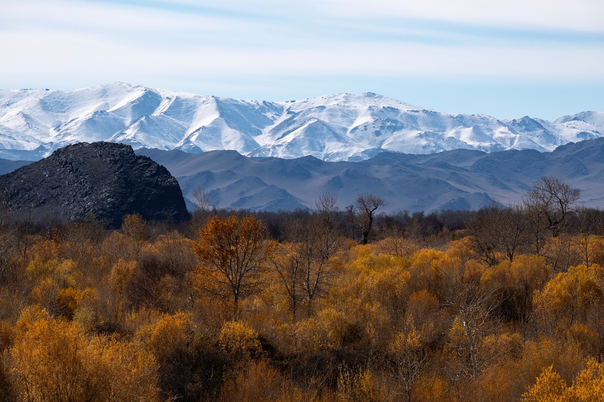 How To Plan An Off-Peak Trip To Mongolia