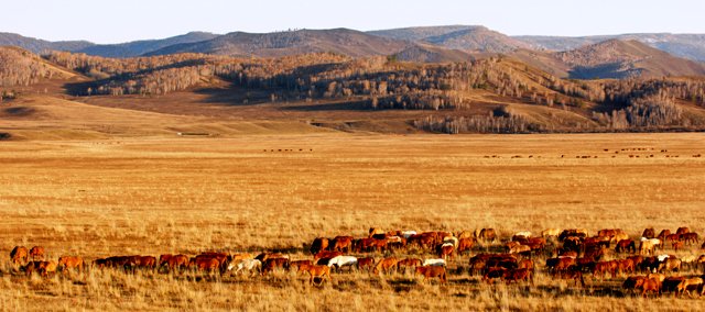 Trip To Mongolia