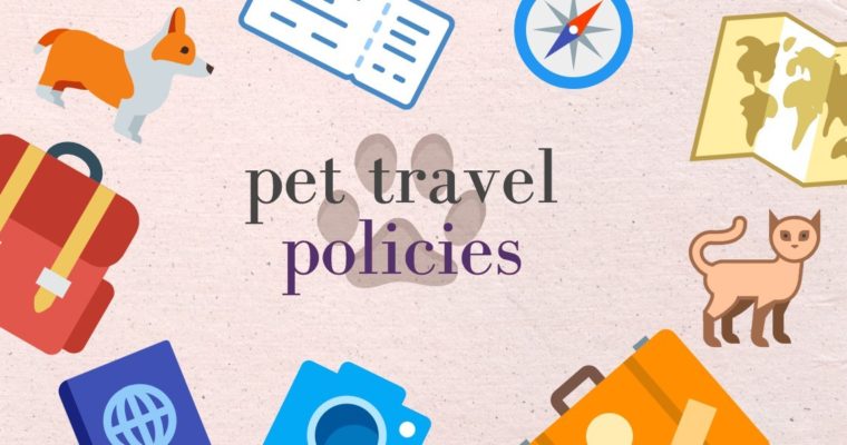 Pet Policies To Note When Traveling By Planes