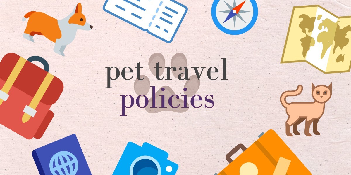 Pet Policies To Note When Traveling By Planes