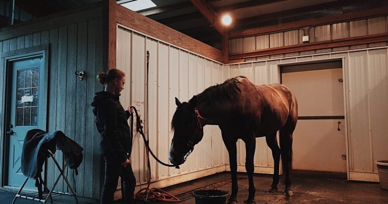 Keep Your Horses Happily Stand on A Comfortable Mat!