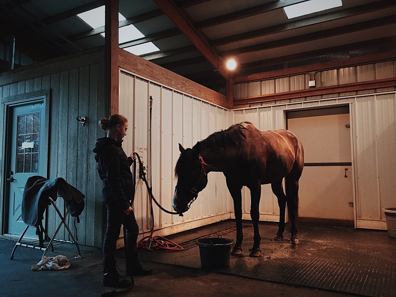 Keep Your Horses Happily Stand on A Comfortable Mat!