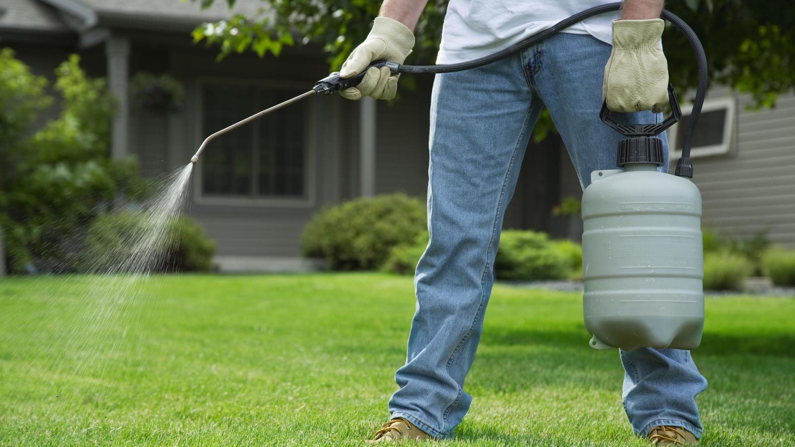 Useful Tips for Your Garden Pest Control