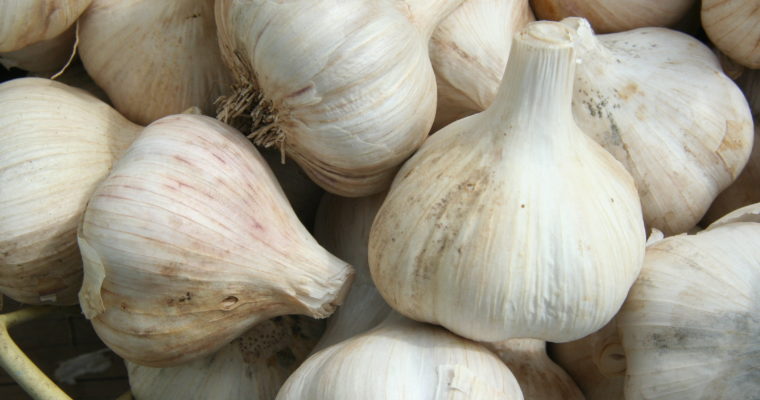 Does Garlic Work for Cholesterol Reduction Actually Work?