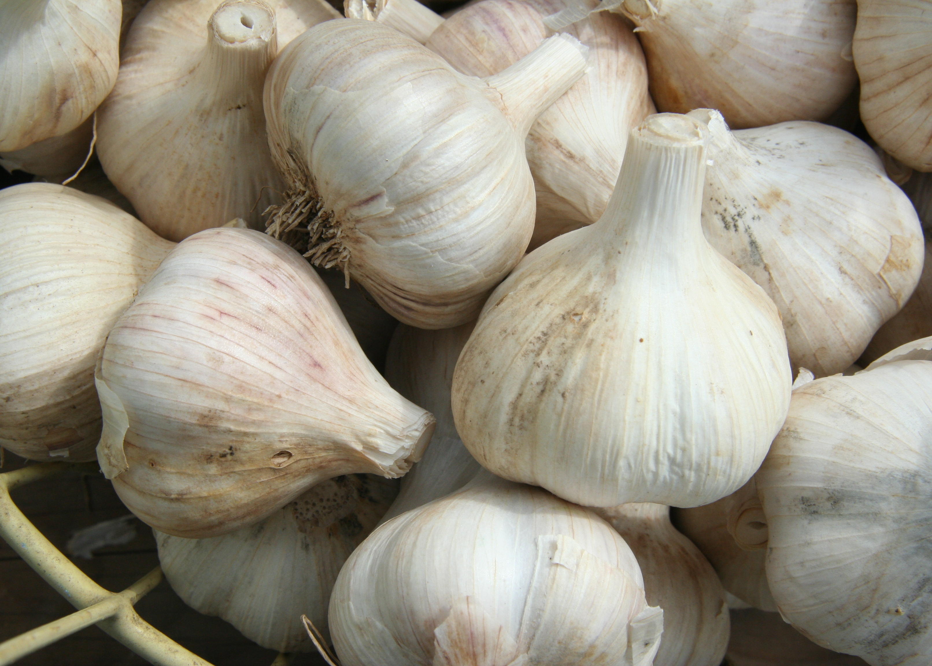 Does Garlic Work for Cholesterol Reduction Actually Work?