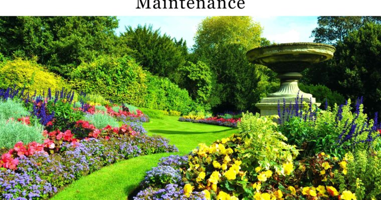 6 Useful Tips that Can Help You in Garden Maintenance