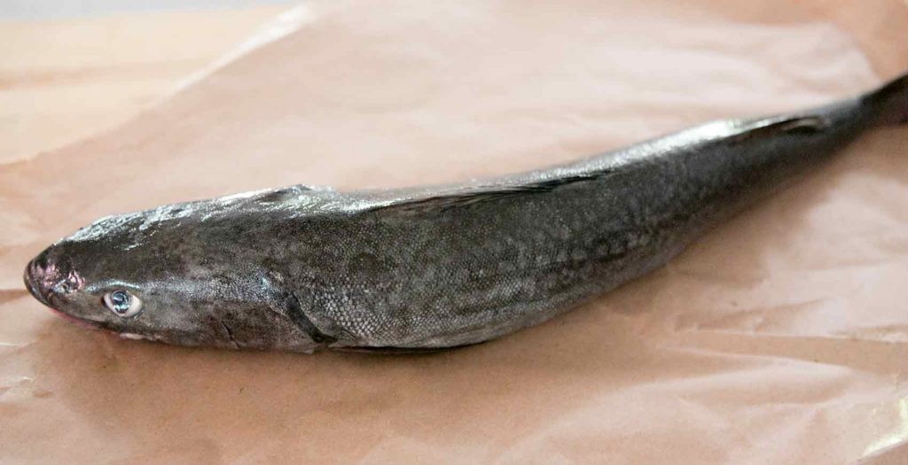 Alaska Black Cod