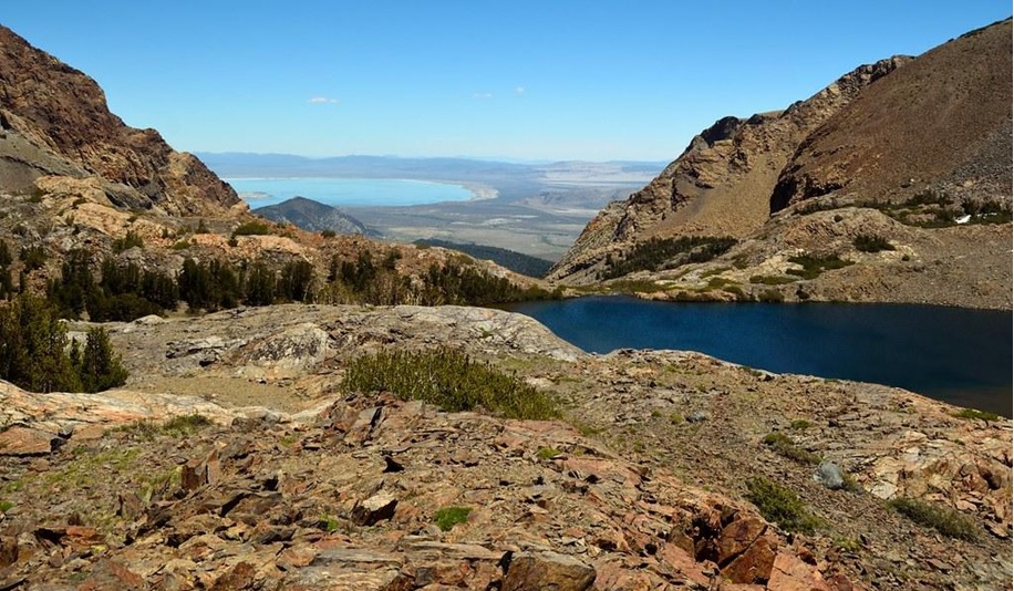 Mono Pass