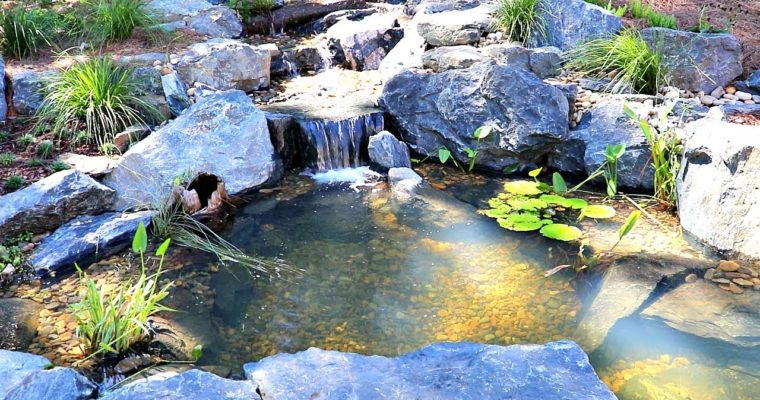 Important Pond Maintenance Service Considerations!