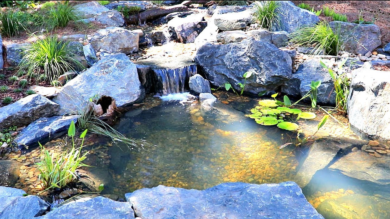 Important Pond Maintenance Service Considerations!