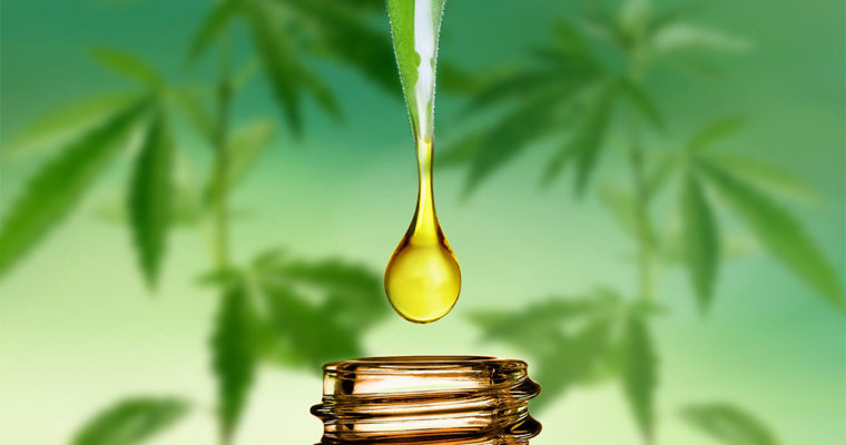 What is Pure CBD Oil?