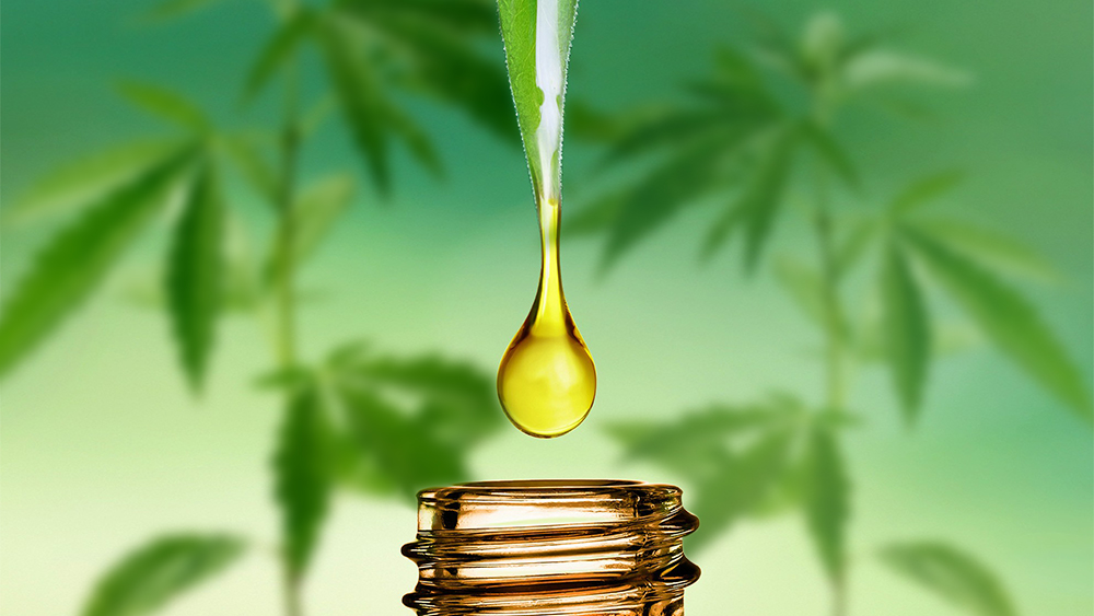 What is Pure CBD Oil?