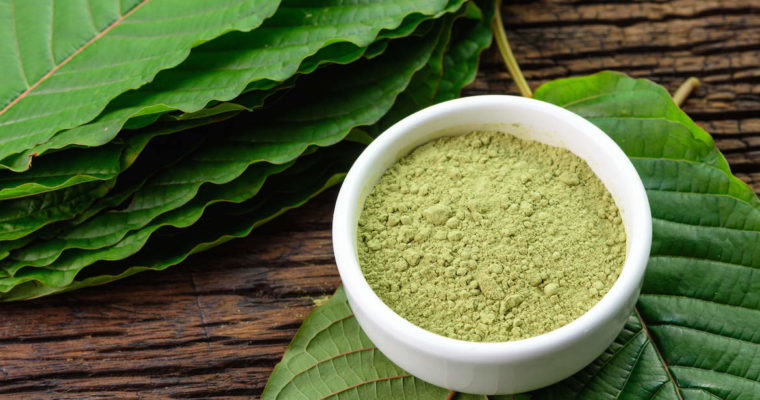 These Are Some Of The Fun Facts to Know About Kratom
