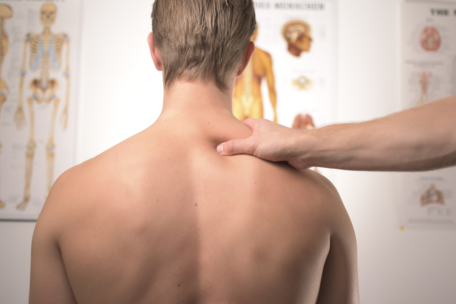 The Benefits of Physiotherapy for Back Pain