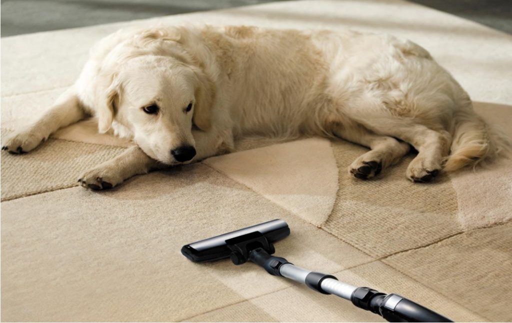 cordless vacuum for pet hair