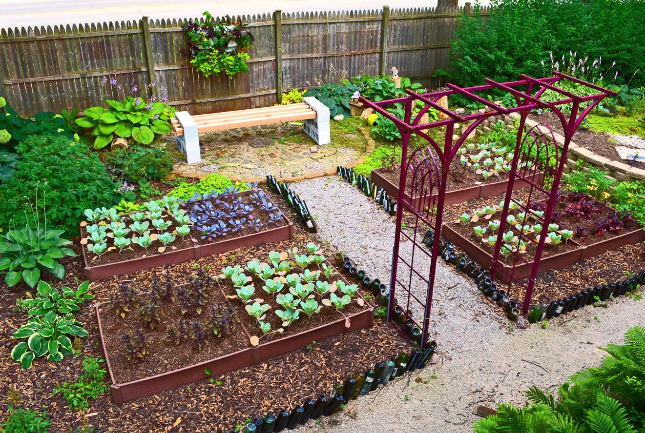 Excellent Ways to Grow Vegetables During Winter