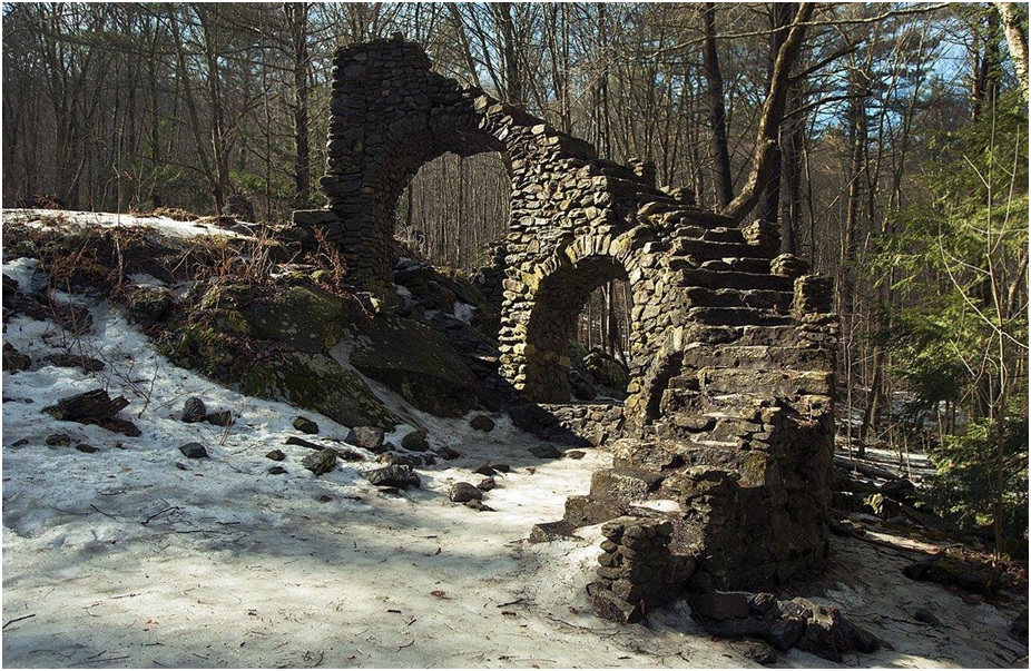 Staircases in the Woods: Know More About this Mysterious Phenomenon Today