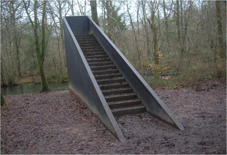 Stairs in the Wood