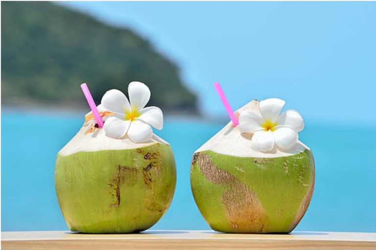 The Numerous Benefits of the Electrolyte Coconut Water WanderGlobe